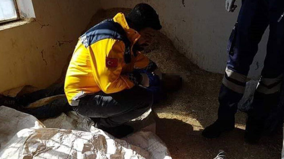 4 kaçak göçmenden 1'i donarak öldü!