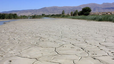 Korkutan alarm! Kayıp yüzde 60