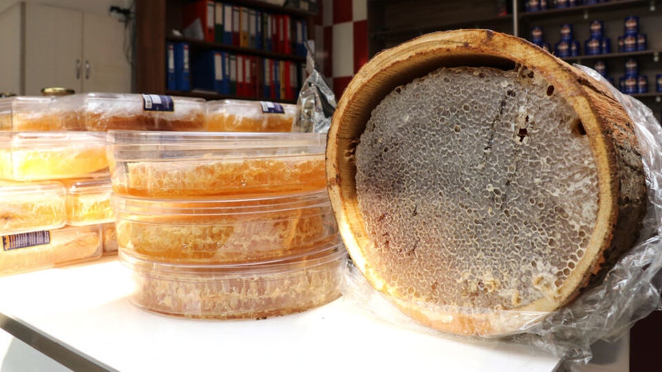 Sahte mi, gerçek mi? İşte tek yöntem!