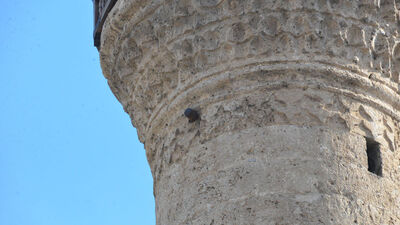 100 yıldır aynı yerde duruyor!