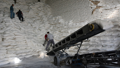 Depremzede şeker pancarı üreticilerine erken ödeme