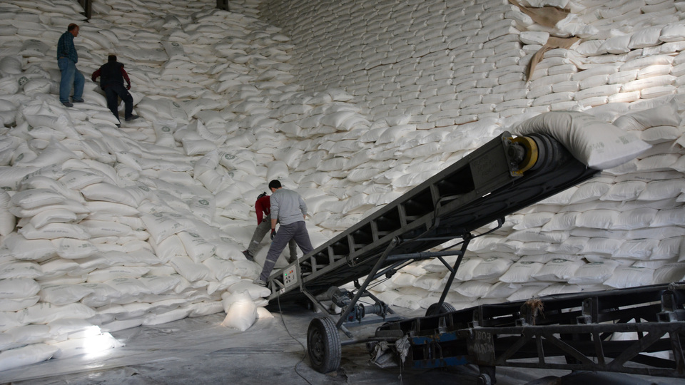 Depremzede şeker pancarı üreticilerine erken ödeme