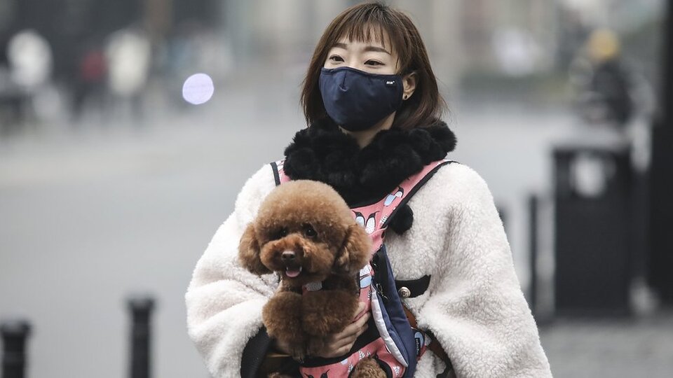 Koronavirüs: Maske takmak virüsten korur mu?