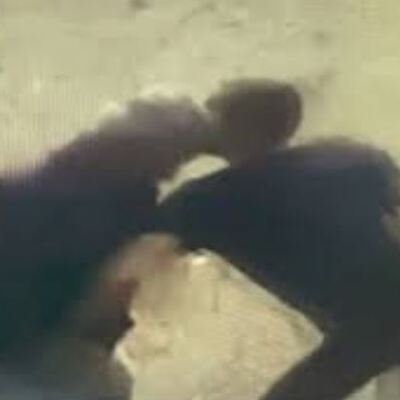 Annesini önce darp sonra gasp etmişti!