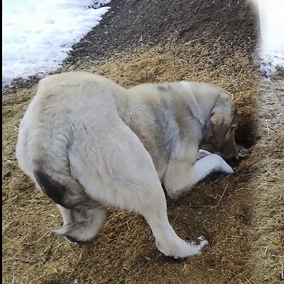 Annenin en zor anı! Yaptığı duygulandırdı