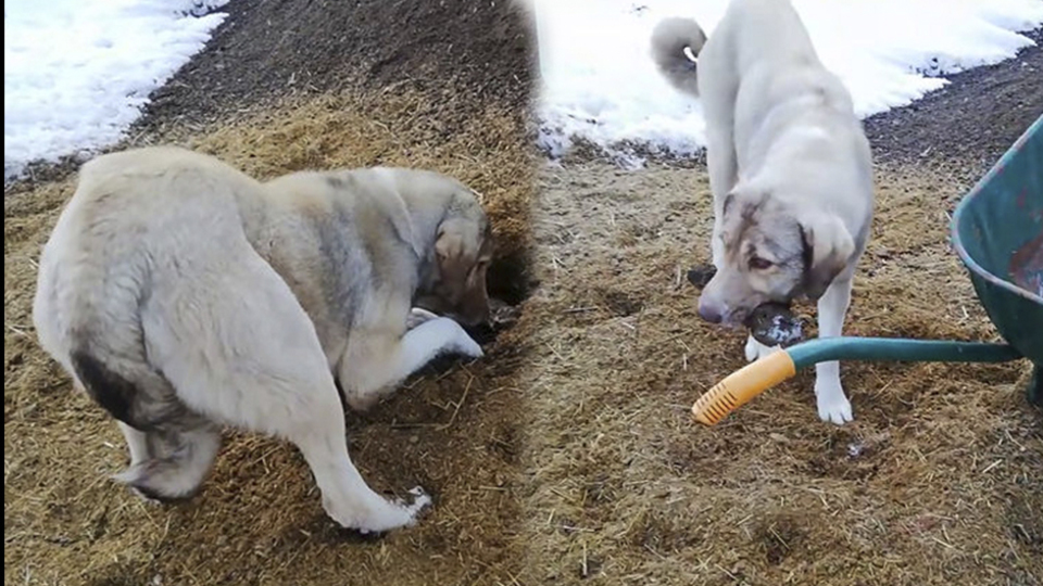 Annenin en zor anı! Yaptığı duygulandırdı