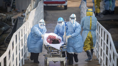 Koronavirüste "kedi" iddiası!