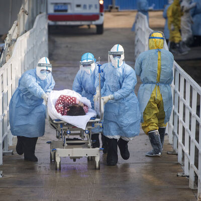 Koronavirüste "kedi" iddiası!