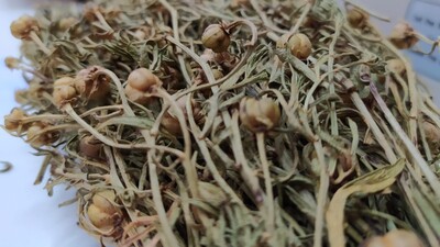 Rahat uyumak için içti, komaya girdi!