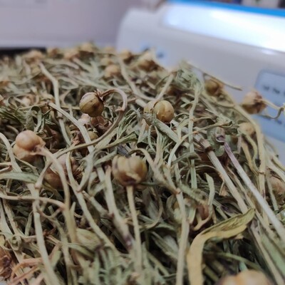 Rahat uyumak için içti, komaya girdi!