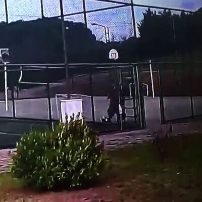 Vicdanları sızlatan tekmeler!