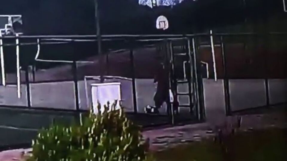 Vicdanları sızlatan tekmeler!