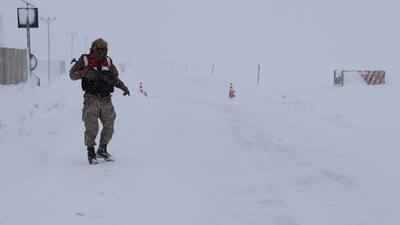 Van'da çığ düştü! Bu kez korkulan olmadı