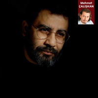 Hayatı AİHM'lik oluyor