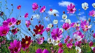 2020 İlk cemre ne zaman düşecek?