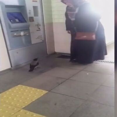 Akbil parasını kargaya kaptırdı!