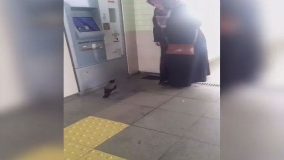 Akbil parasını kargaya kaptırdı!