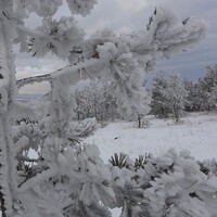 Türkiye dondu! Göle eksi 40'ı gördü