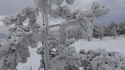 Türkiye dondu! Göle eksi 40'ı gördü