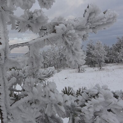 Türkiye dondu! Göle eksi 40'ı gördü