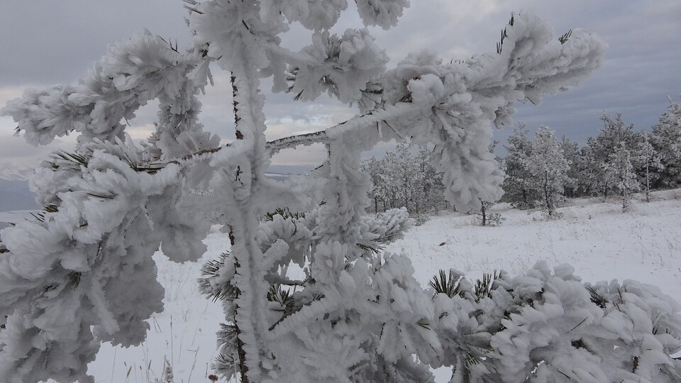 Türkiye dondu! Göle eksi 40'ı gördü