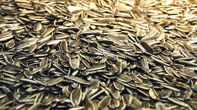 Koronavirüs endişesiyle gümrüklerde bekletiliyor