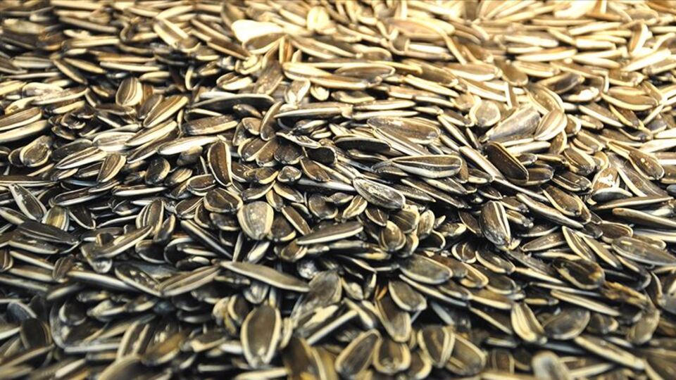 Koronavirüs endişesiyle gümrüklerde bekletiliyor