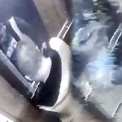 O sucu kendini böyle savundu!