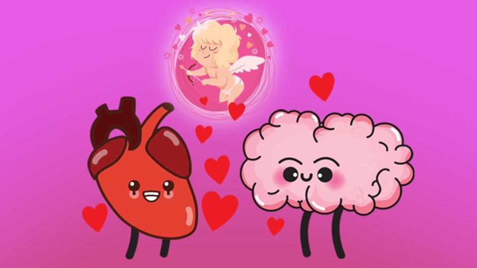Aşk beyinde mi kalpte mi başlar?