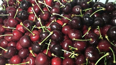 Kirazın faydaları nelerdir?