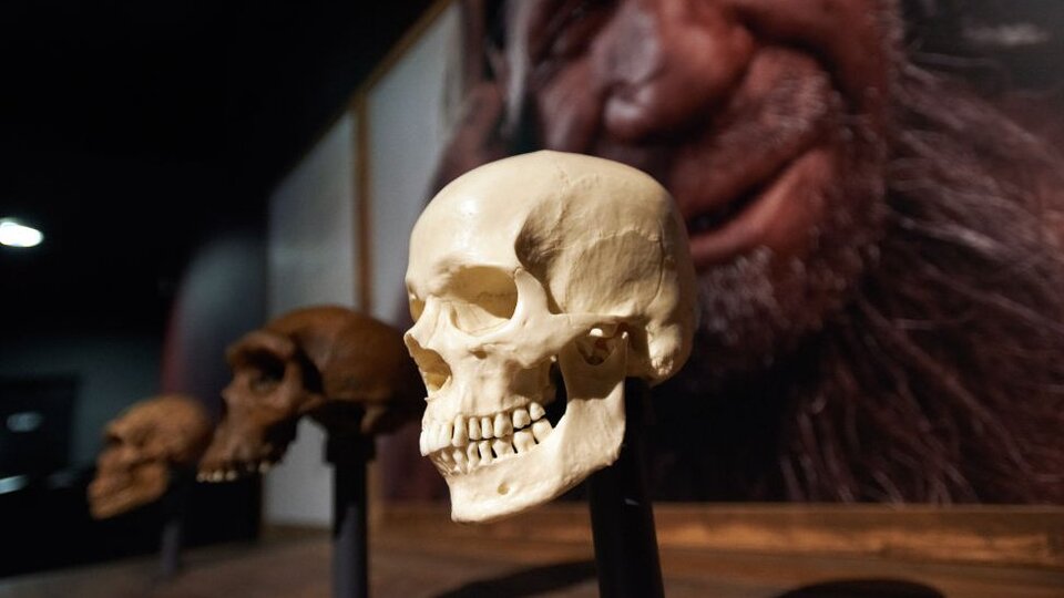 Batı Afrika'da 'hayalet' insan türüne ait bulgular ortaya çıktı