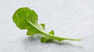 Rokanın faydaları nelerdir?