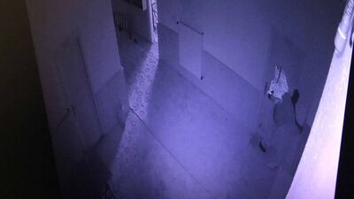 Çocuk hırsızlar kamerada!