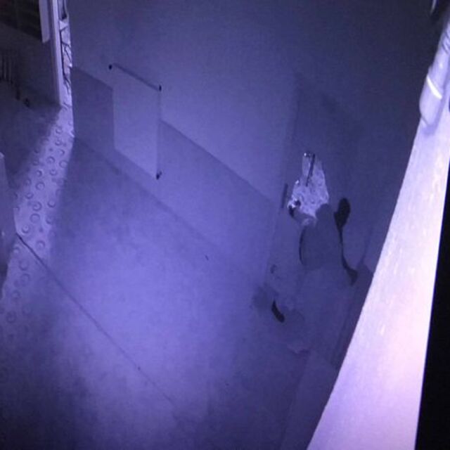Çocuk hırsızlar kamerada!