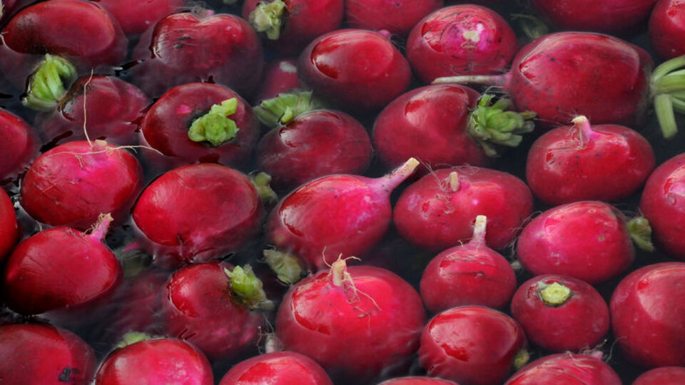 Turpun faydaları nelerdir?