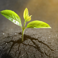 Saint-Gobain Öğrenci Yarışmasında geri sayım