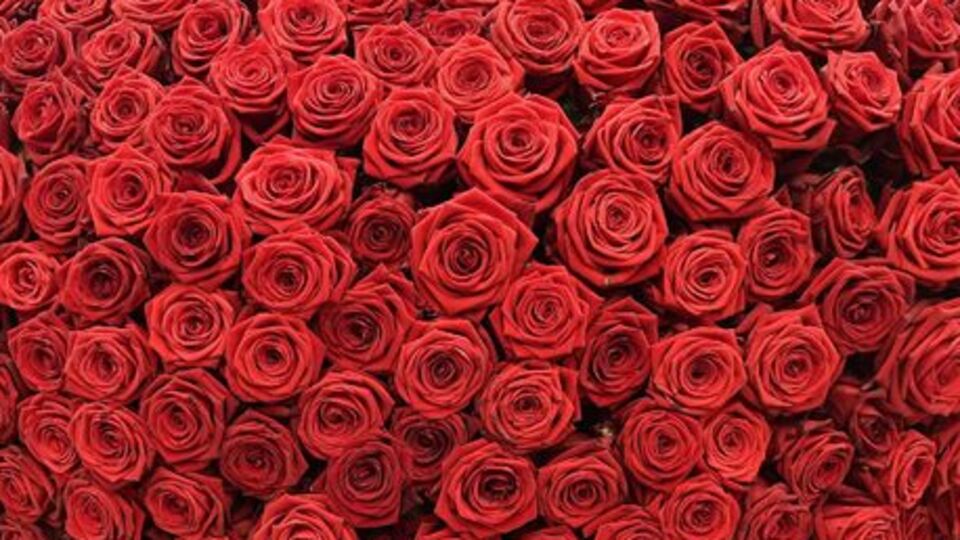 Sevgililer için 4 kitap