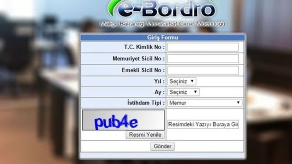 e-Bordro maaş sorgulama Şubat 2020!