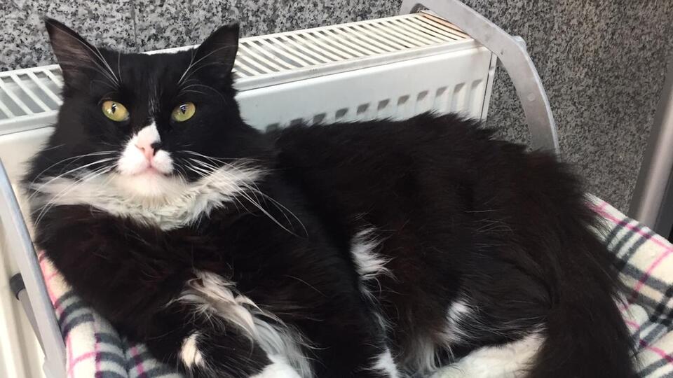 Lütfen kaputa iki kez vurun!