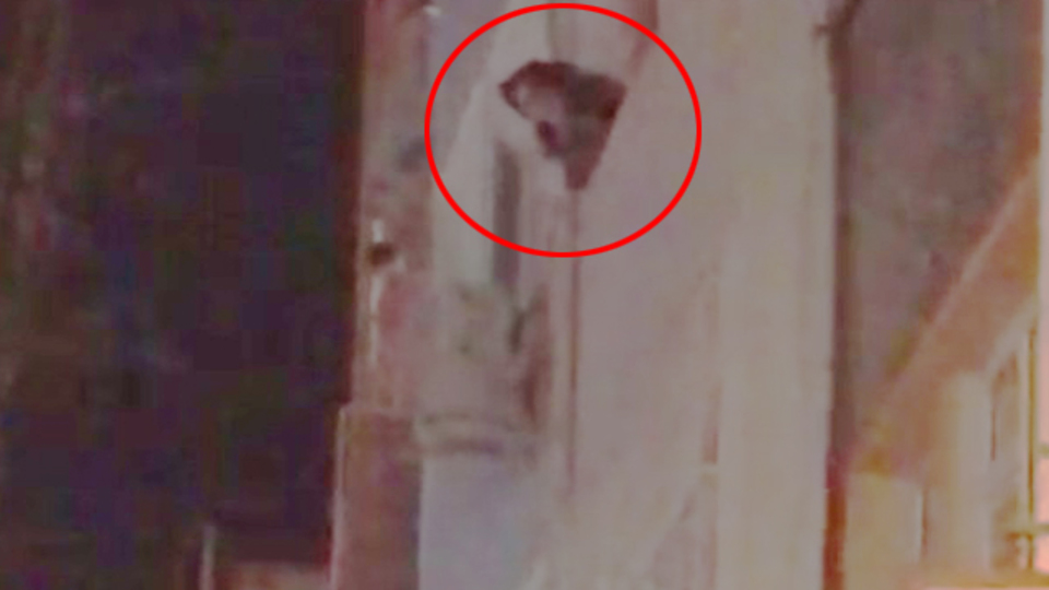 Mahalleyi birbirine kattı!