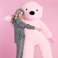 Aleyna'dan olay açıklama: Kliplerimdeki ayılar...