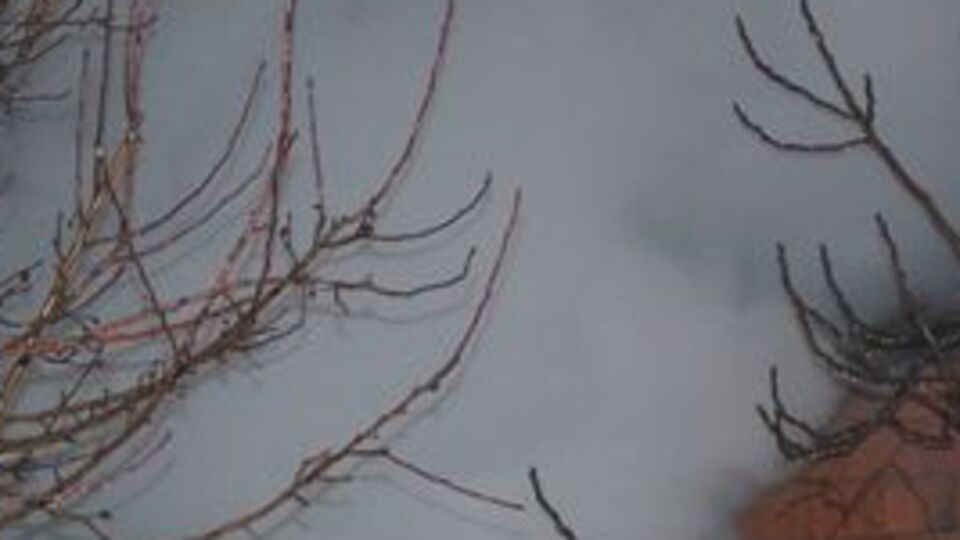 3 katlı binada korkutan yangın