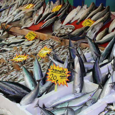 Karadeniz soğudu, geri döndüler