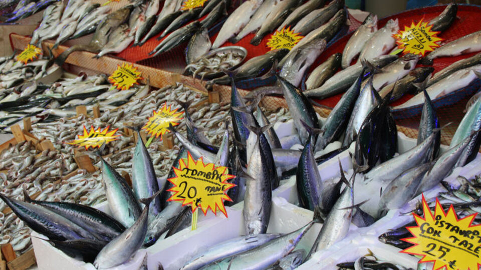 Karadeniz soğudu, geri döndüler