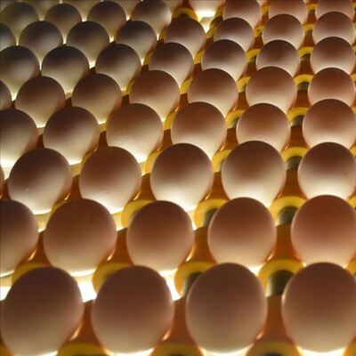 Yasak rekor getirdi!