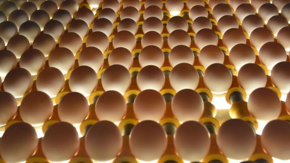 Yasak rekor getirdi!