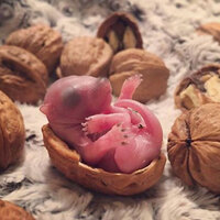 Yatağında buldu... Gözlerine inanamadı!