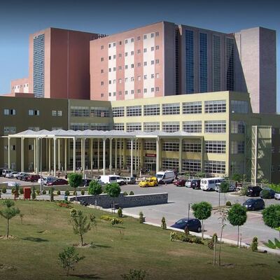 115 çocuk ilk değilmiş!