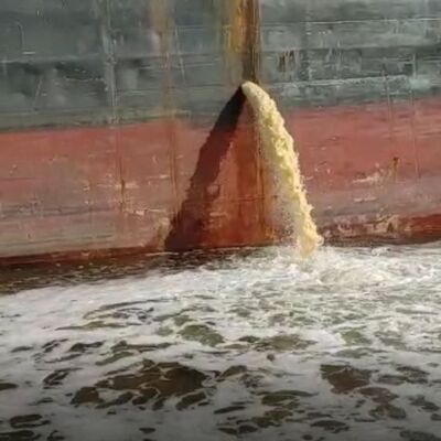 İzmit Körfezi'ni kirletmişti! Büyük ceza!