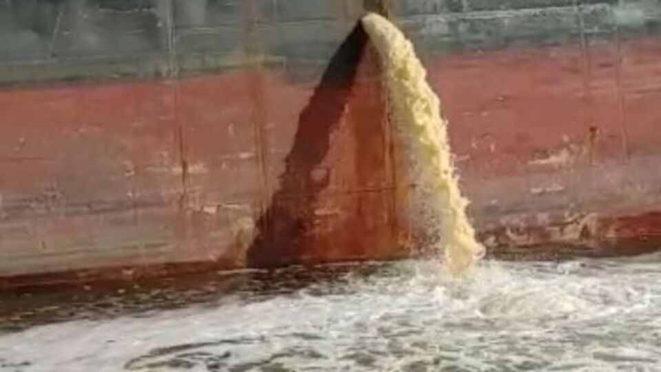 İzmit Körfezi'ni kirletmişti! Büyük ceza!